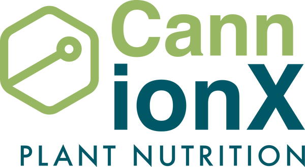 Cann ionX Webshop