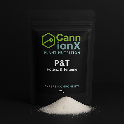 P&T - Potenz und Terpene auf einem neuen Level